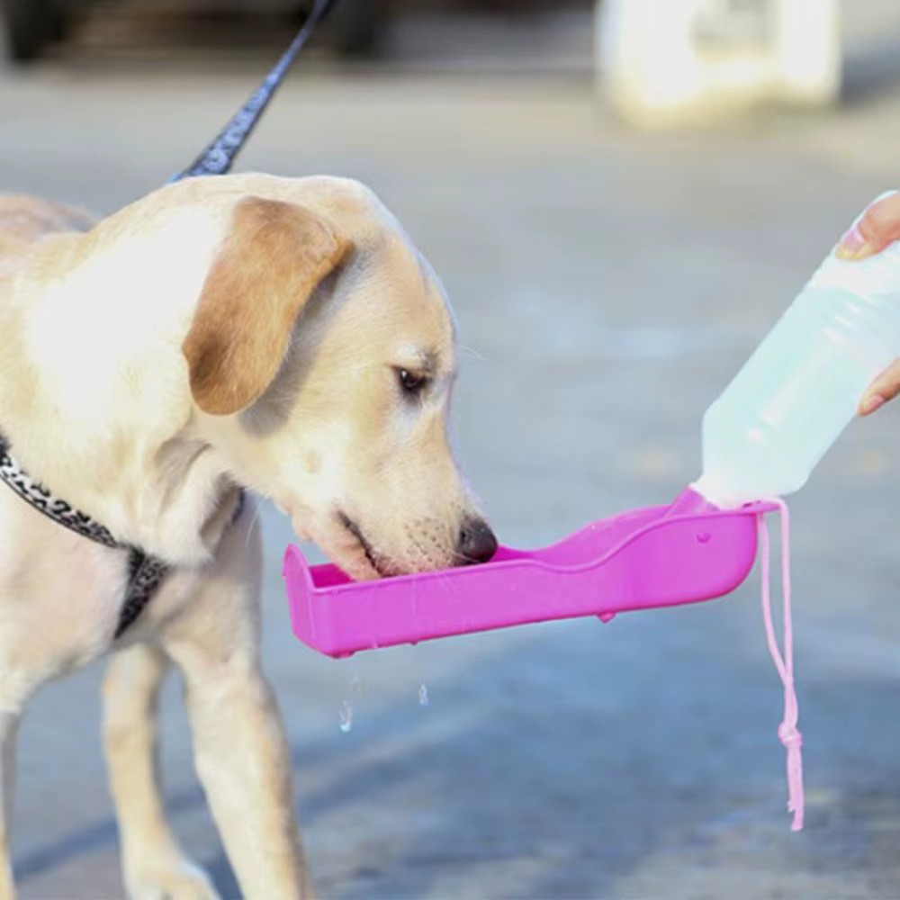 Botella de Agua Portátil para Mascotas