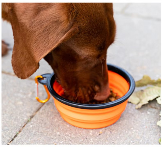 Plato Plegable para Mascotas